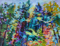 Northern Forest
