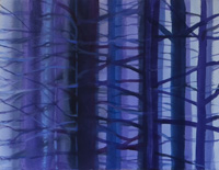 Dark Forest