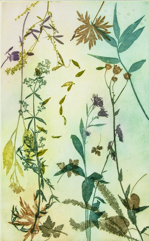 Into the Garden