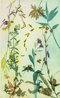 Into the Garden
